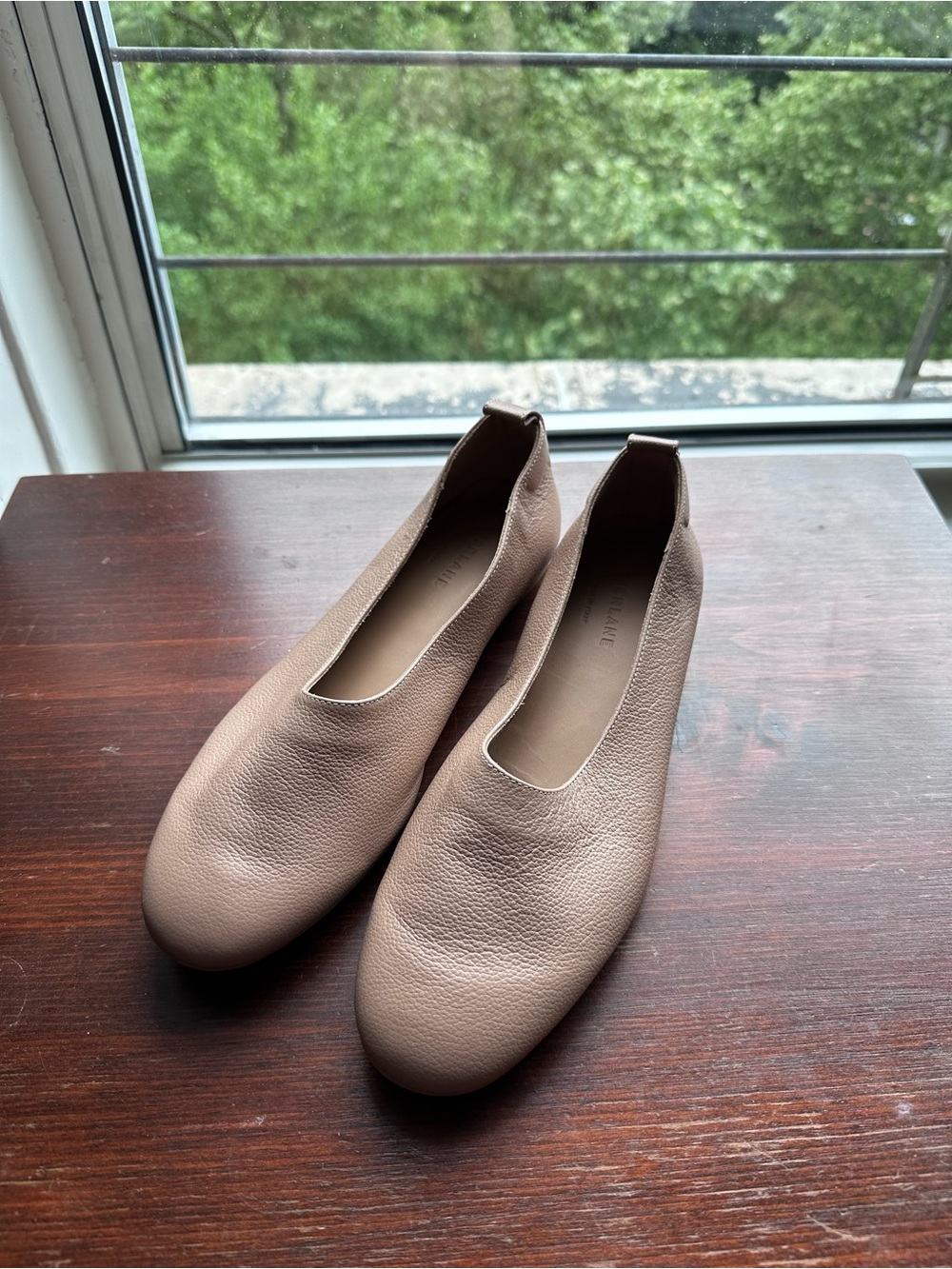 Everlane Pebbled Leather Ballet Flats in Light Taupe
